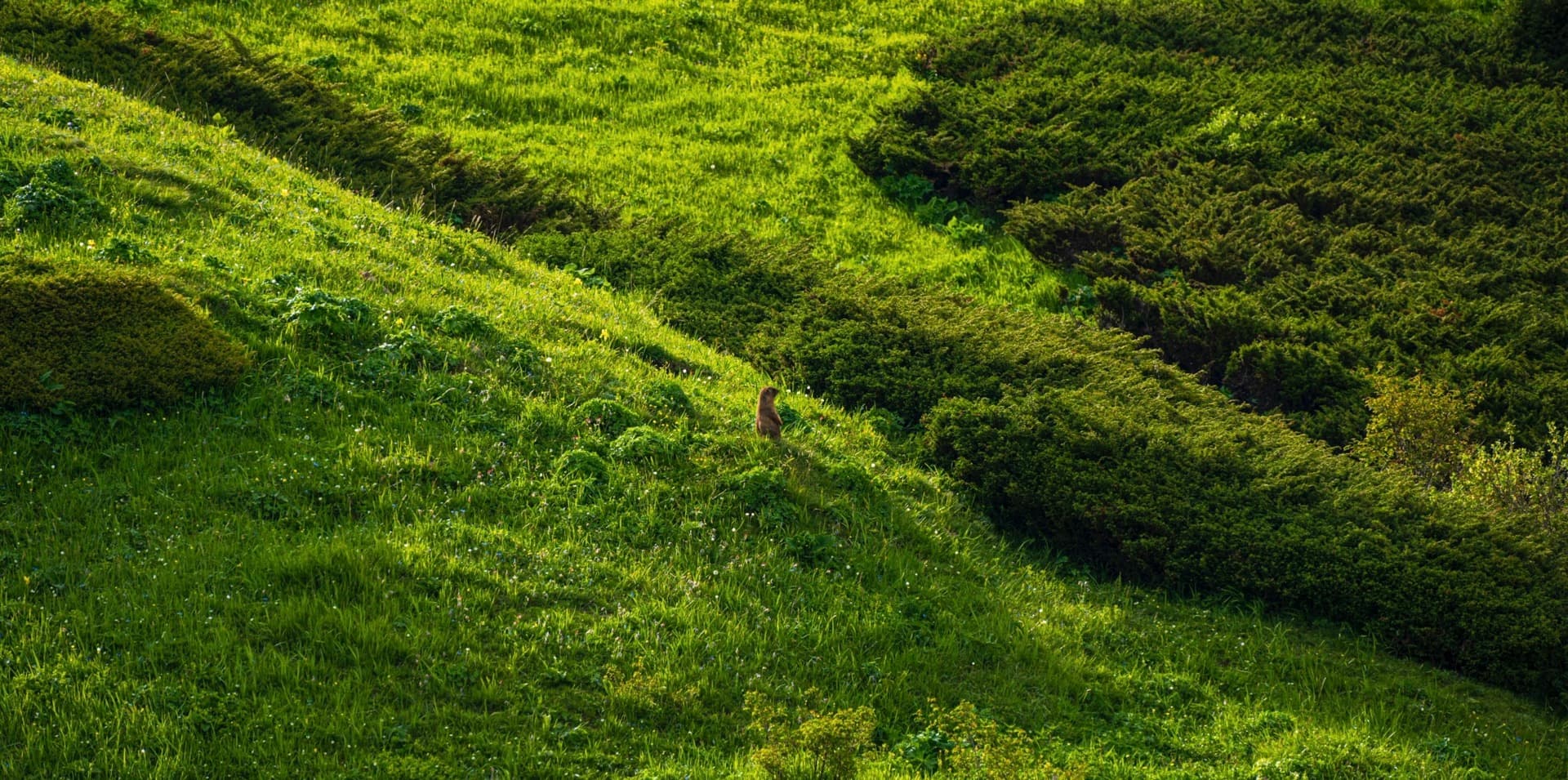 西北风景